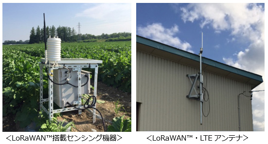 LoRaWAN (TM) 搭載センシング機器 LoRaWAN (TM)・LTEアンテナ