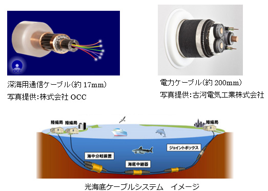深海用通信ケーブル (約17mm) 写真提供: 株式会社OCC 電力ケーブル (約200mm) 写真提供: 古河電気工業株式会社 光海底ケーブルシステム イメージ