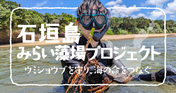 石垣島みらい藻場プロジェクト キービジュアル