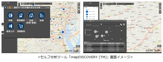 セルフ分析ツール「mapDISCOVERY (TM)」画面イメージ